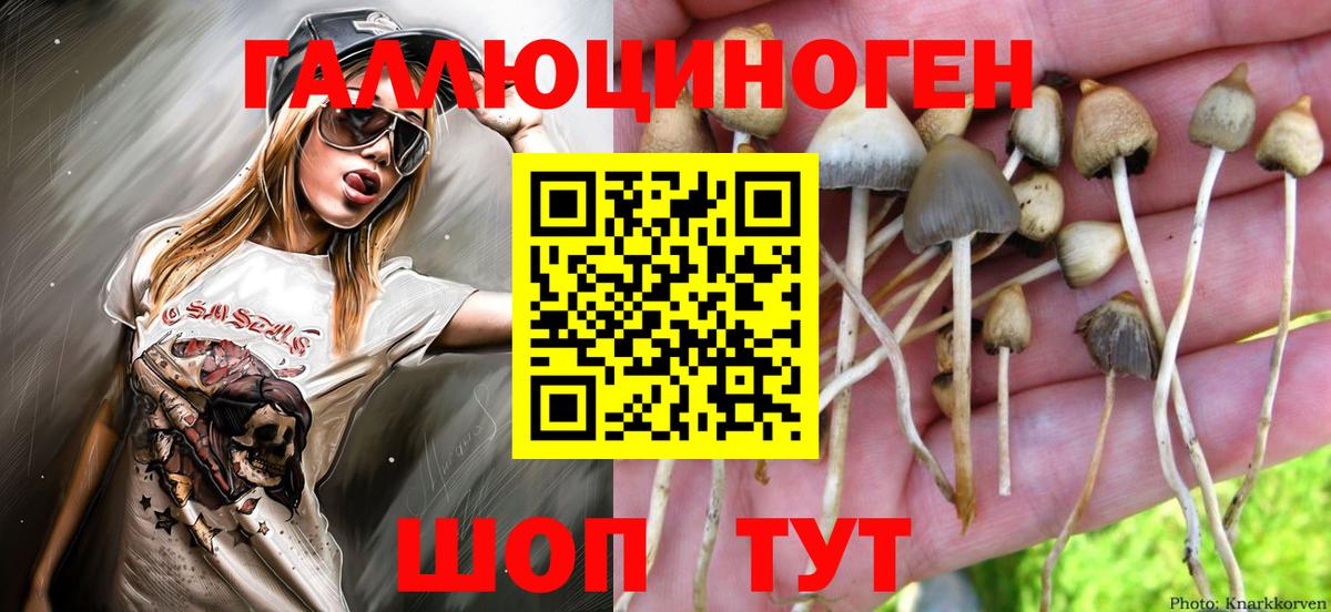 Галлюциногенные грибы Psilocybine cubensis  Вход с VPN  Аша 